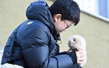 Boo Boo, l'orsacchiotto Hi-Tech che riscopre l'empatia nell'era dell'Intelligenza Artificiale