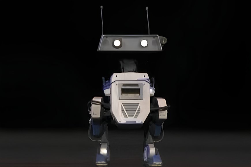 Robot autonomo Blue