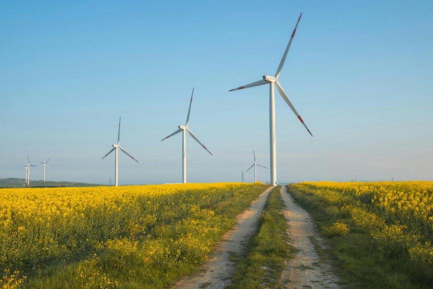 Turbine eoliche in un campo di colza