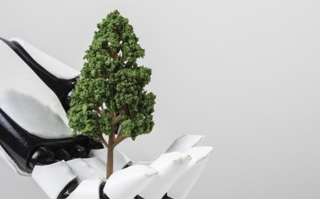 Dichiarazione di Amburgo: Le 5 P per l’IA sostenibile