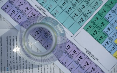 Una tavola periodica per l’AI? Al MIT nasce la mappa degli algoritmi che imparano (quasi) come il cervello
