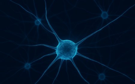 Un computer di neuroni contro la fame di energia dell’IA