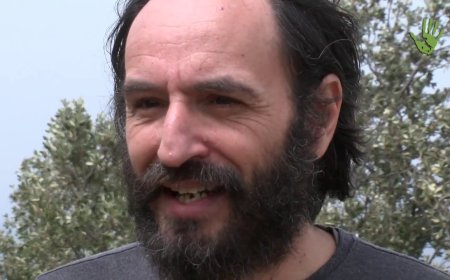 Disconnessi: quando la paura di staccare racconta chi siamo