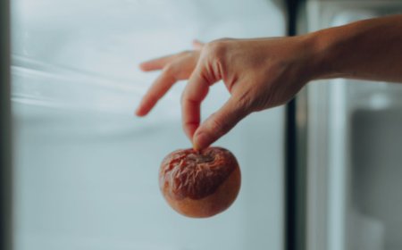 Chi riempie, chi dimentica, chi svuota: la guerra allo spreco parte dal frigorifero con l’AI che crea liste e consiglia ricette