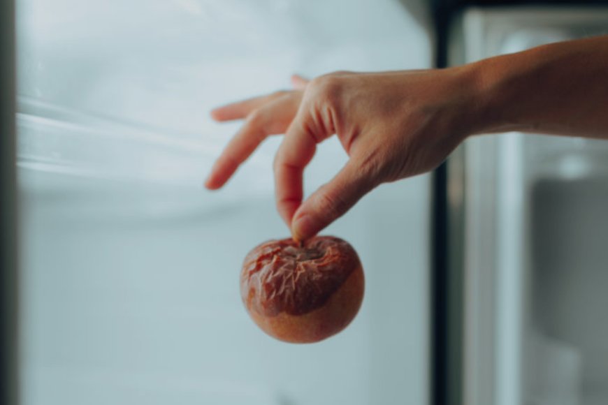 Chi riempie, chi dimentica, chi svuota: la guerra allo spreco parte dal frigorifero con l’AI che crea liste e consiglia ricette